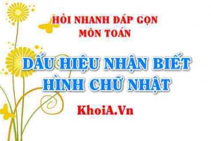 Dấu hiệu nhận biết Hình Chữ Nhật là gì? Hỏi nhanh đáp gọn môn Toán